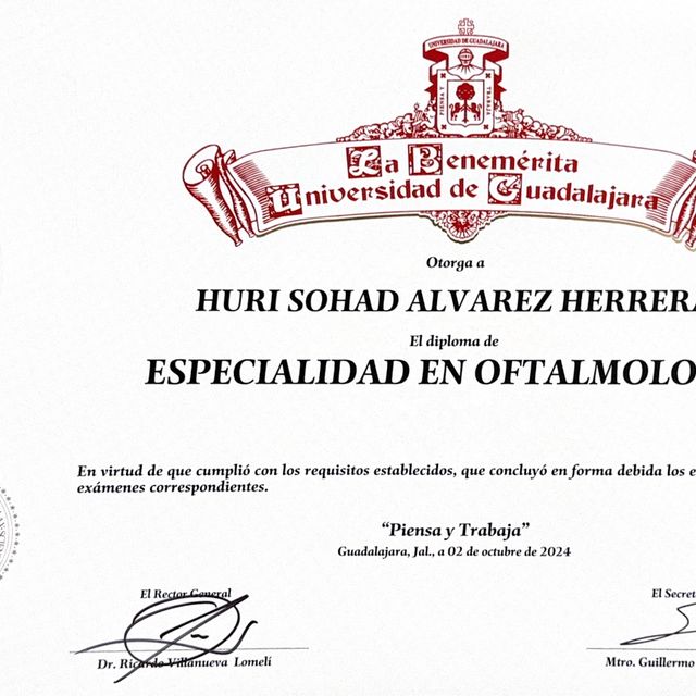 Ampliar imagen: certificate 2