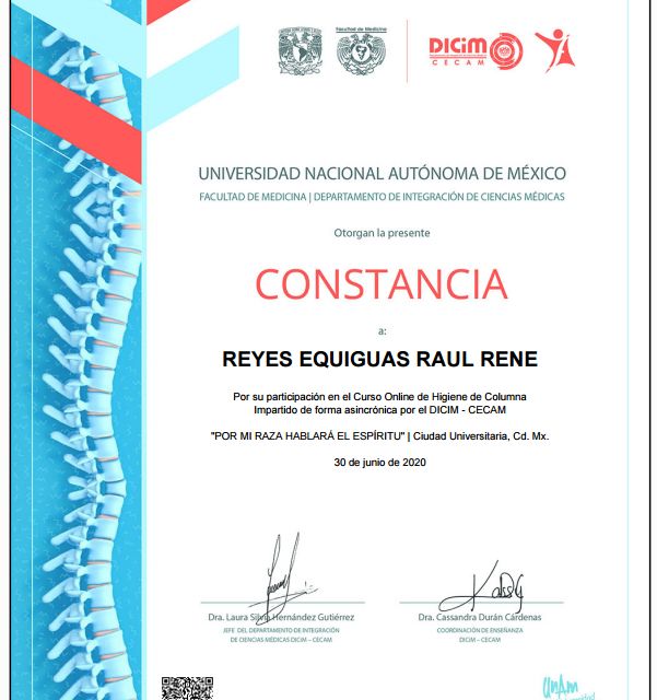 Ampliar imagen: certificate 5