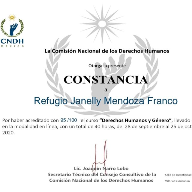 Ampliar imagen: certificate 19