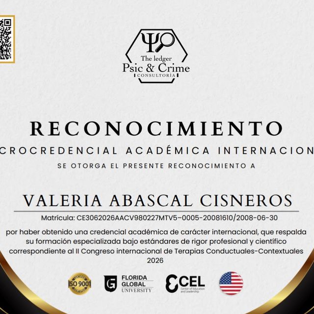 Ampliar imagen: certificate 4