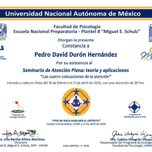 Ampliar imagen: certificate 4