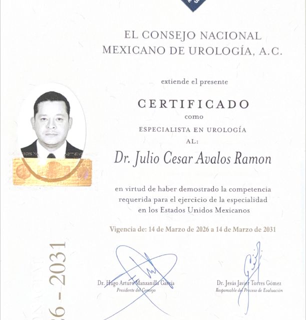 Ampliar imagen: certificate 1