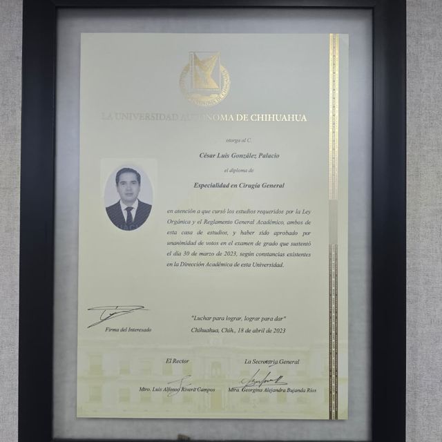 Ampliar imagen: certificate 3