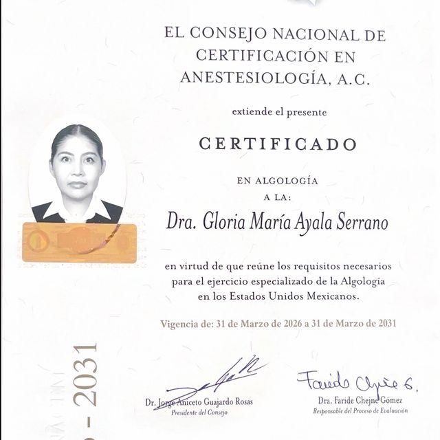 Ampliar imagen: certificate 1