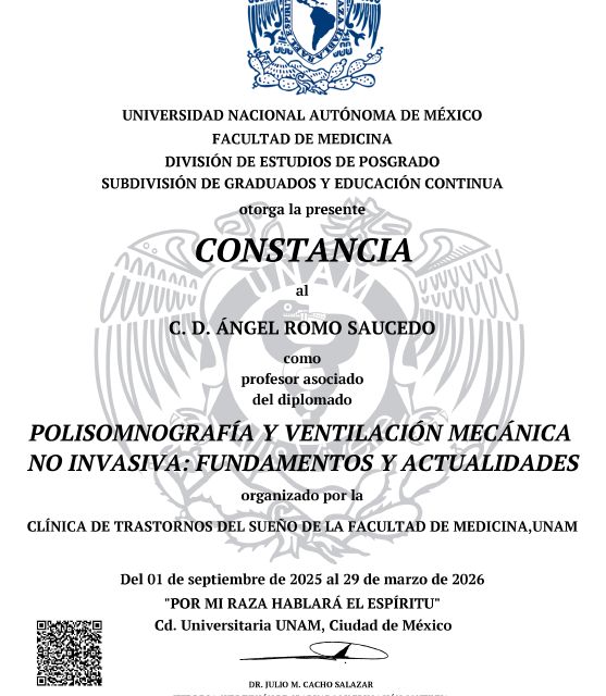 Ampliar imagen: certificate 11