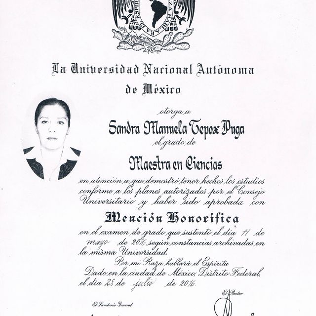 Ampliar imagen: certificate 3
