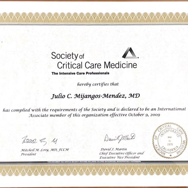 Ampliar imagen: certificate 2