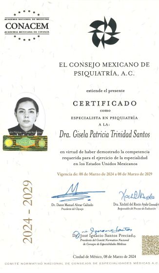Ampliar imagen: certificate 3