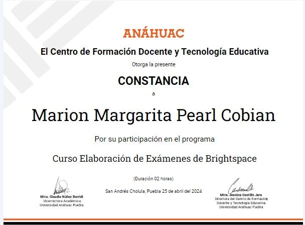 Ampliar imagen: certificate 4