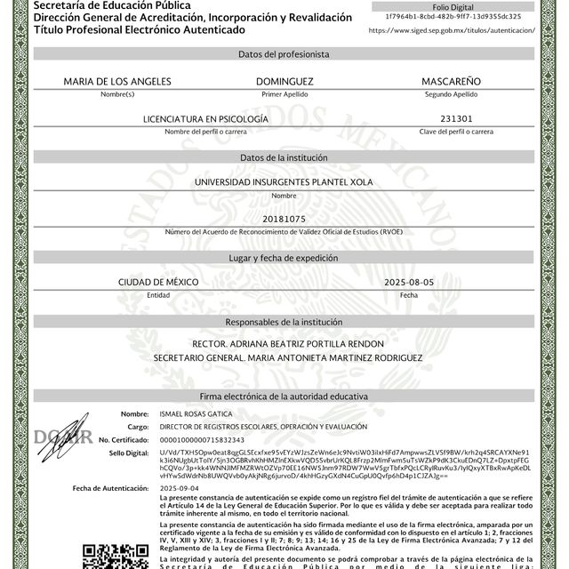 Ampliar imagen: certificate 2