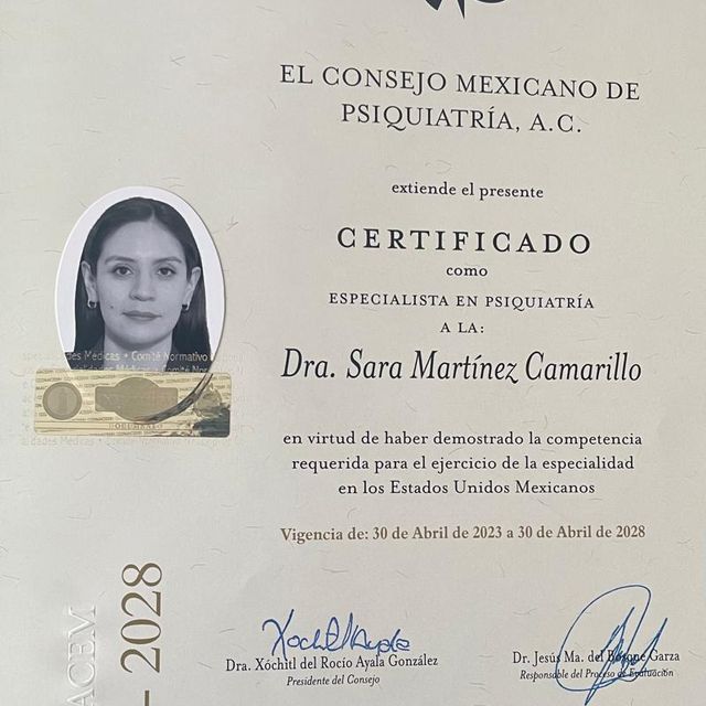 Ampliar imagen: certificate 1