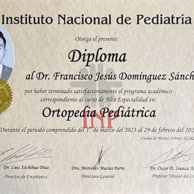 Ampliar imagen: certificate 3