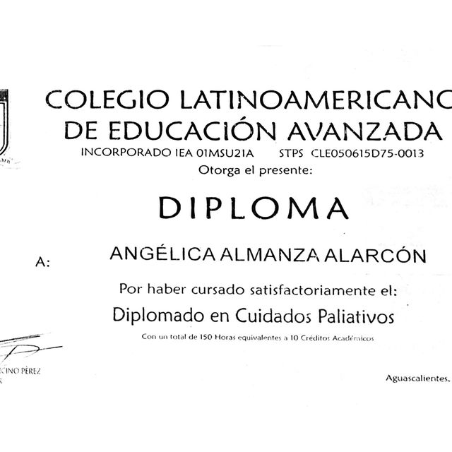 Ampliar imagen: certificate 17
