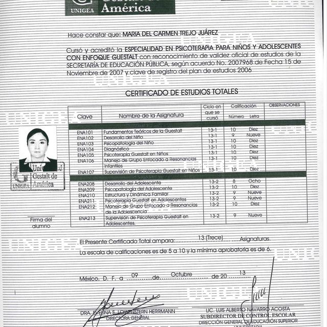 Ampliar imagen: certificate 3