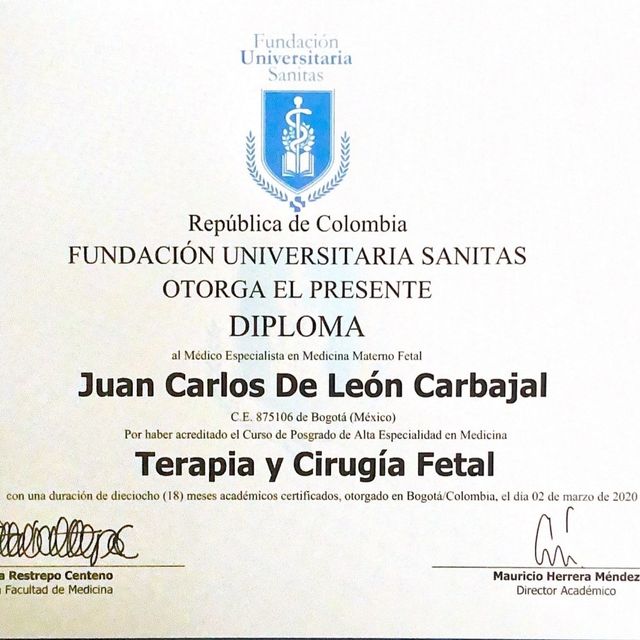 Ampliar imagen: certificate 4