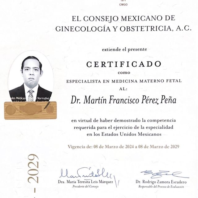 Ampliar imagen: certificate 1