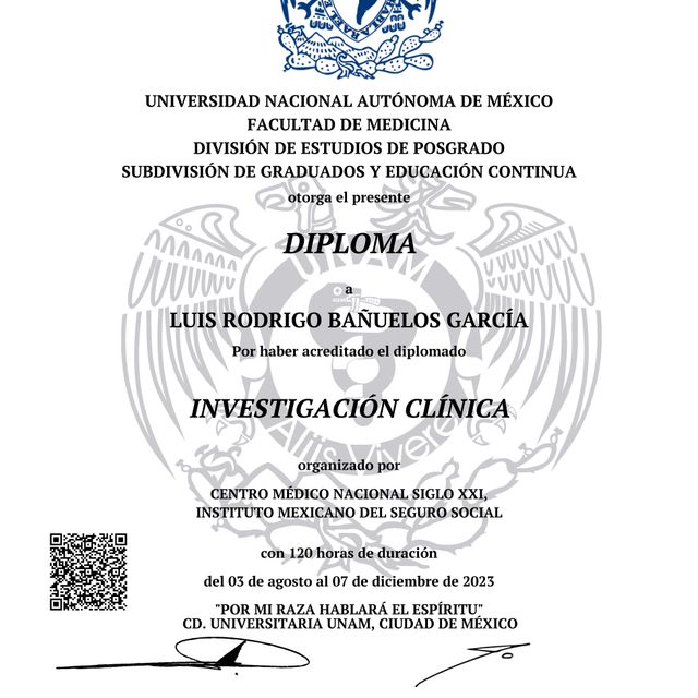 Ampliar imagen: certificate 3