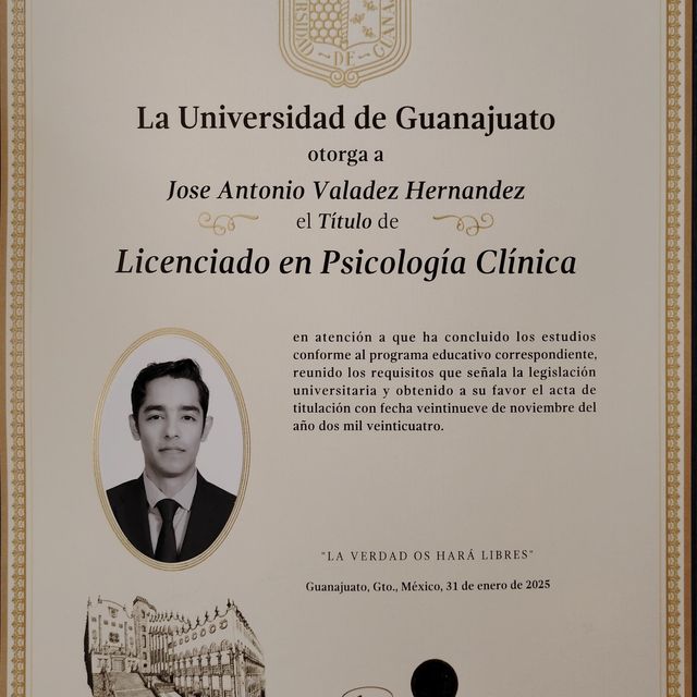 Ampliar imagen: certificate 1
