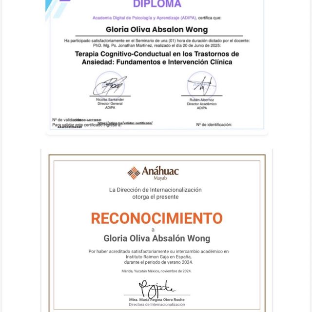 Ampliar imagen: certificate 5