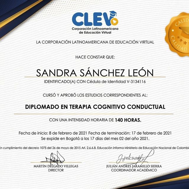 Ampliar imagen: certificate 1