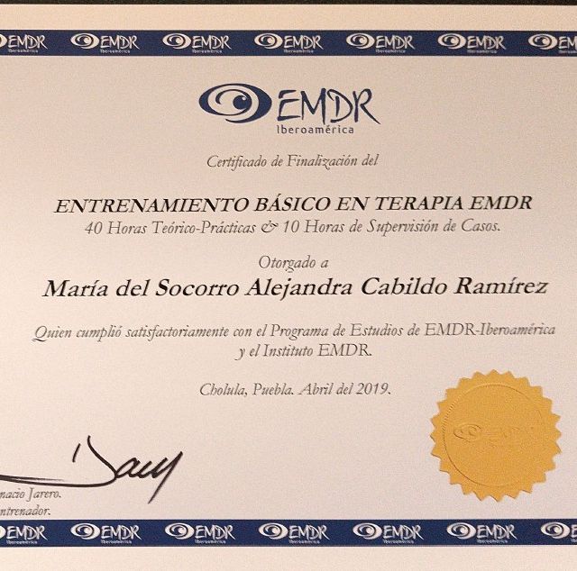 Ampliar imagen: certificate 1