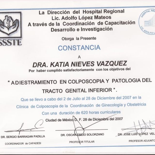 Ampliar imagen: certificate 3