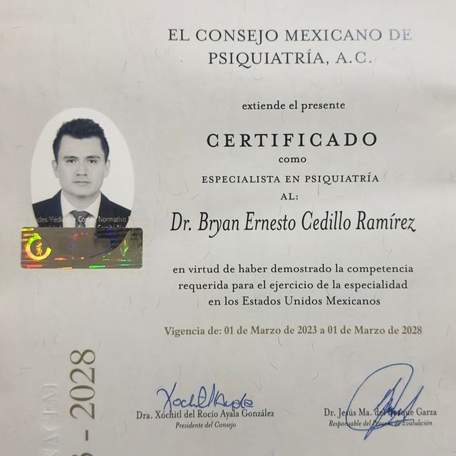 Ampliar imagen: certificate 3