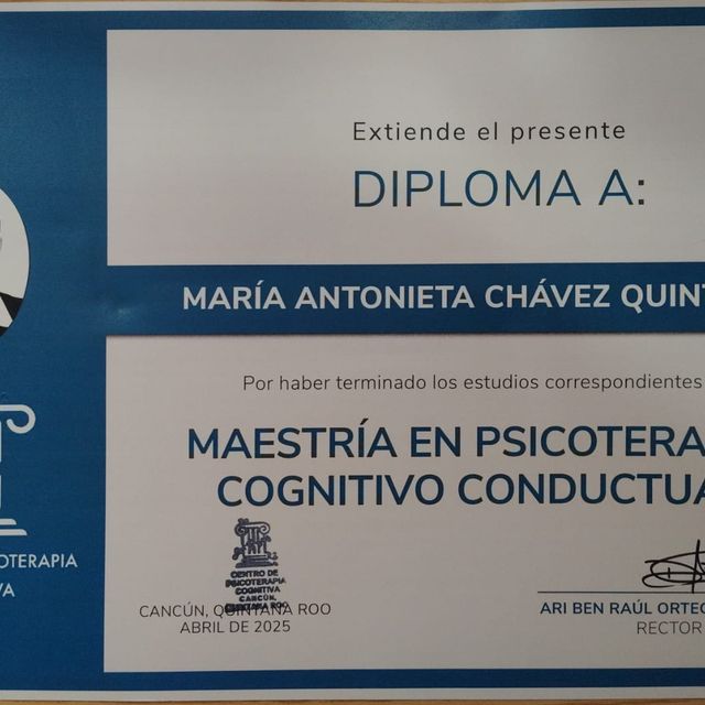 Ampliar imagen: certificate 1