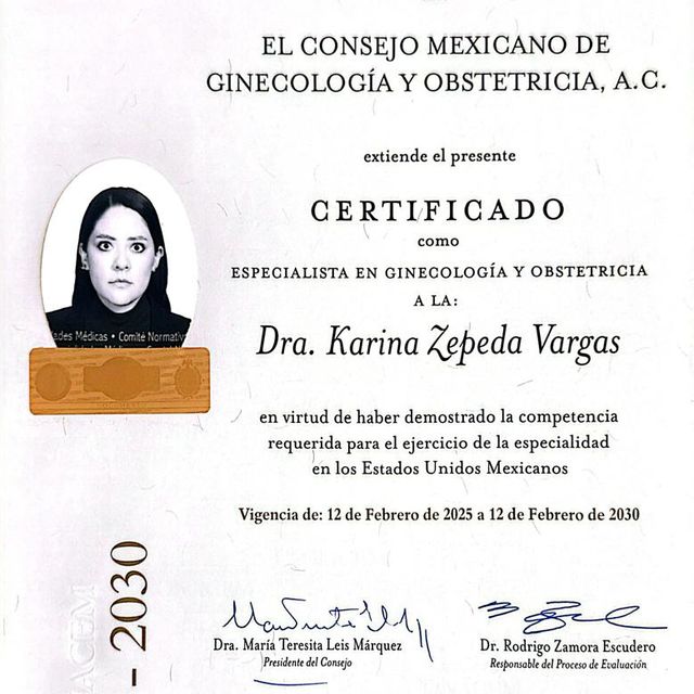 Ampliar imagen: certificate 2