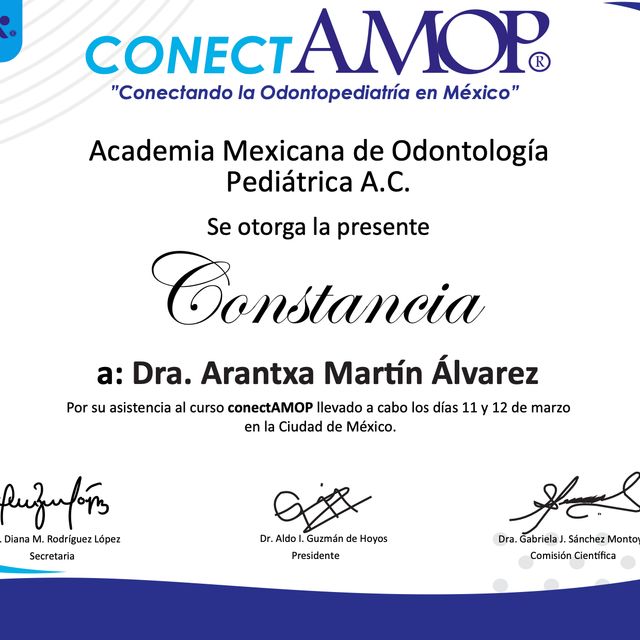 Ampliar imagen: certificate 4