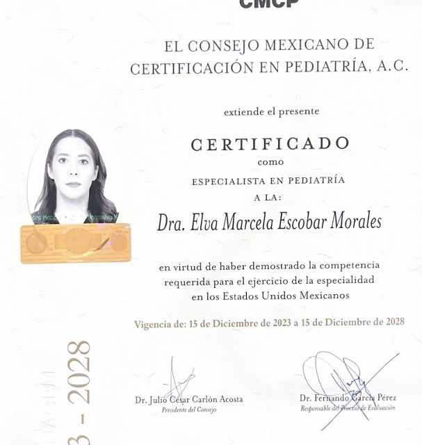 Ampliar imagen: certificate 6