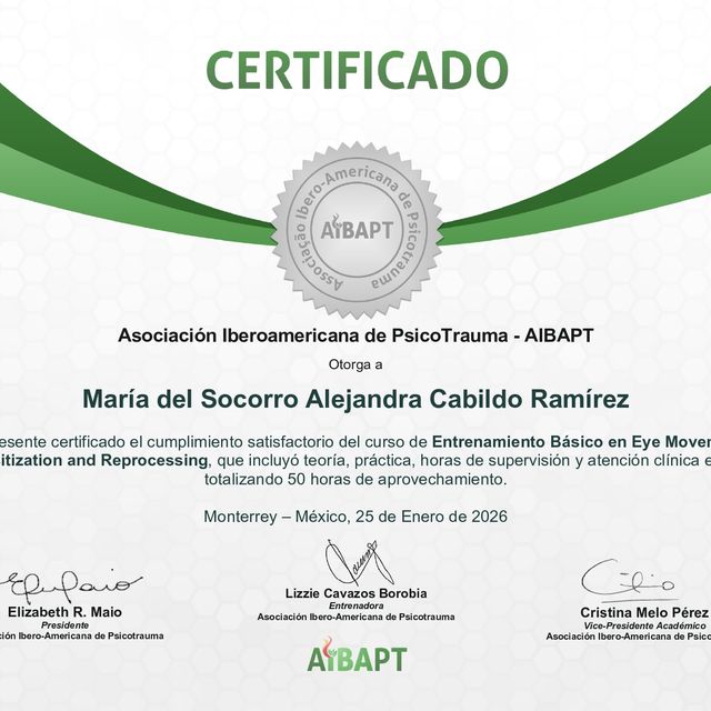 Ampliar imagen: certificate 11