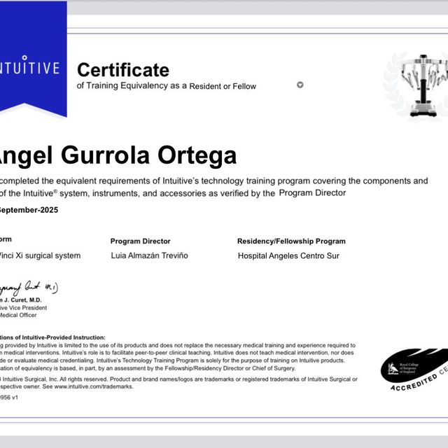 Ampliar imagen: certificate 4