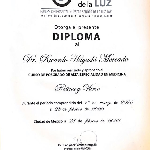 Ampliar imagen: certificate 5