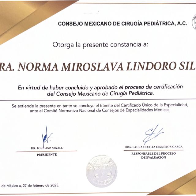 Ampliar imagen: certificate 1