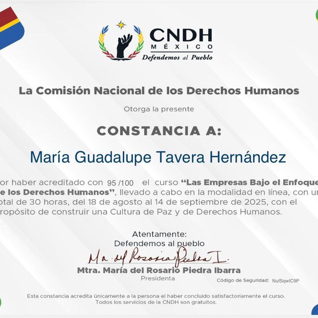 Ampliar imagen: certificate 96