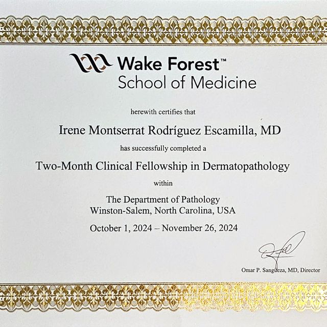 Ampliar imagen: certificate 4