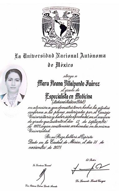 Ampliar imagen: certificate 3