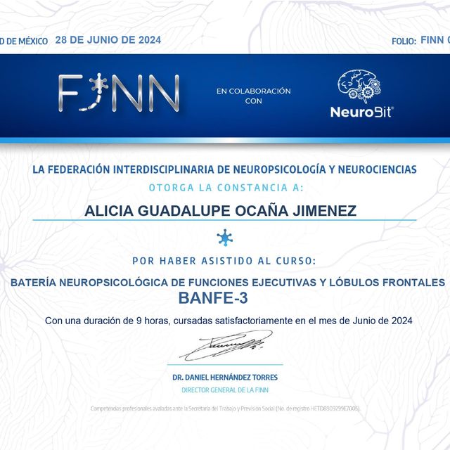 Ampliar imagen: certificate 6