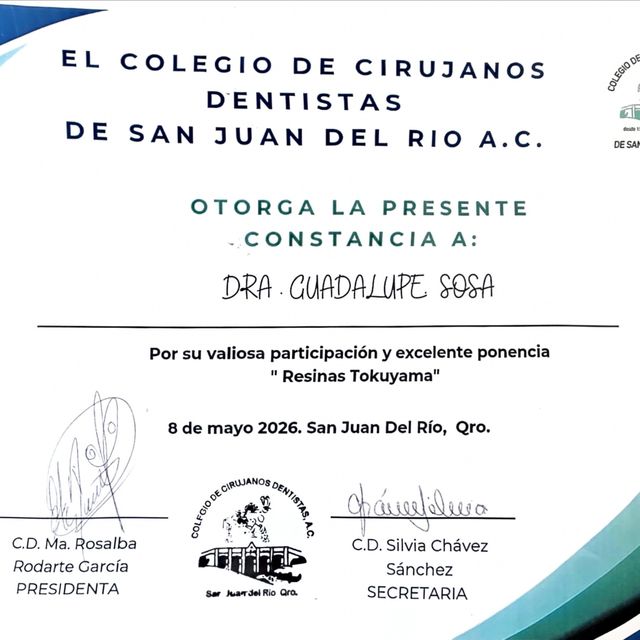 Ampliar imagen: certificate 1