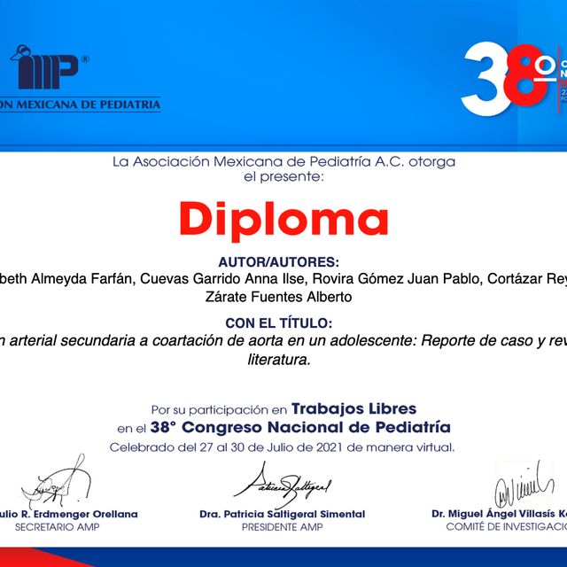 Ampliar imagen: certificate 17