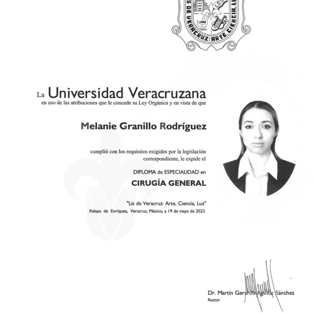 Ampliar imagen: certificate 3