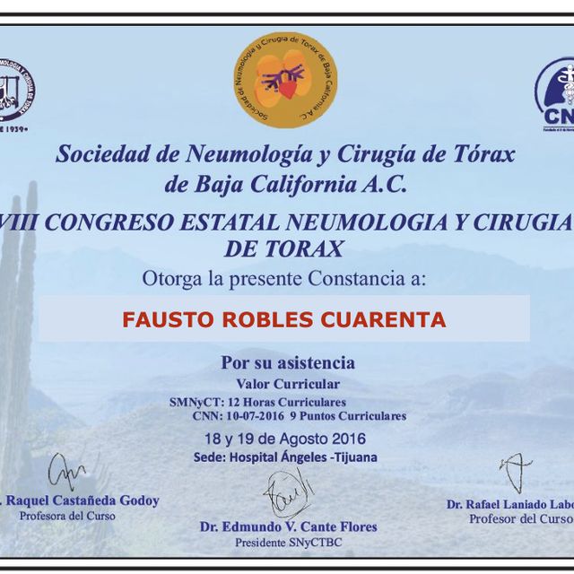 Ampliar imagen: certificate 11