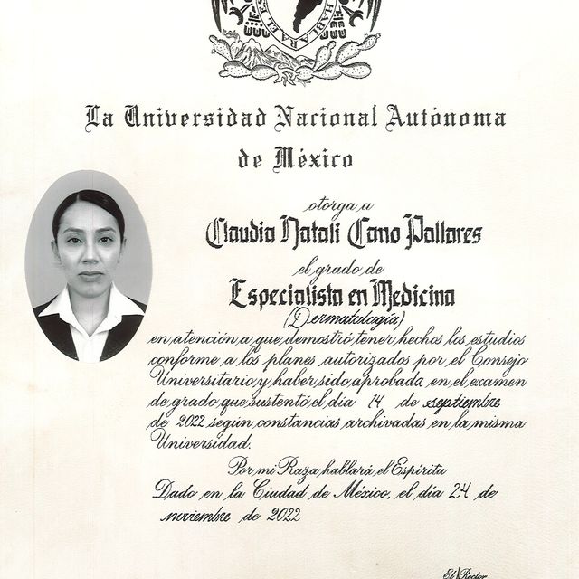 Ampliar imagen: certificate 1