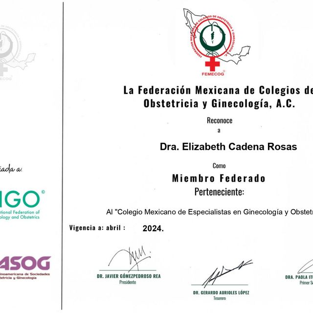 Ampliar imagen: certificate 2