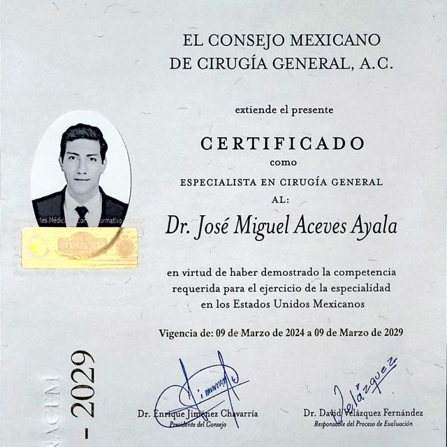 Ampliar imagen: certificate 3