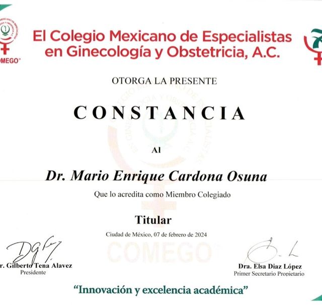 Ampliar imagen: certificate 4