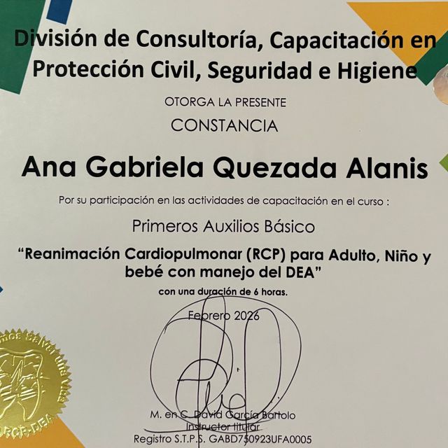 Ampliar imagen: certificate 5