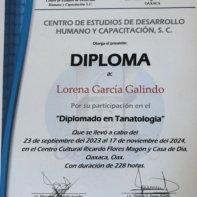 Ampliar imagen: certificate 2