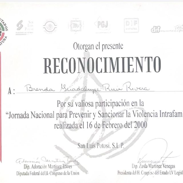 Ampliar imagen: certificate 12